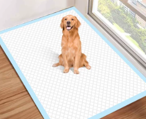 Lamination Hot Melt PSA Adhesive for Pet Pee Pad Multi-layer Structure