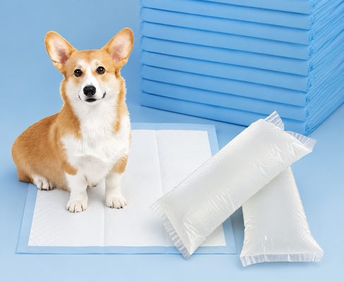 High-Performance Bonding Solutions for Pet Training Pads & Underpads